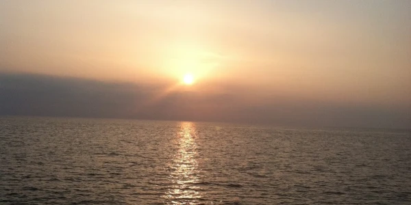 Bowdoin Recovery Services